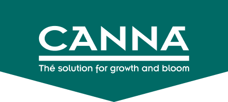 Canna Australia
